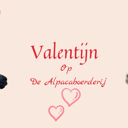 Verwen je Valentijn!  14 februari 